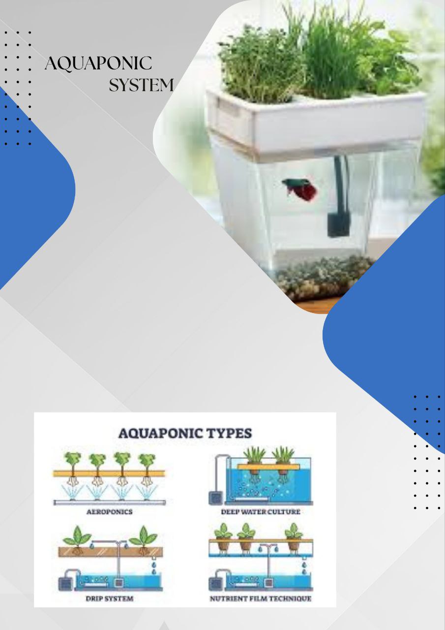 Aquaponic System