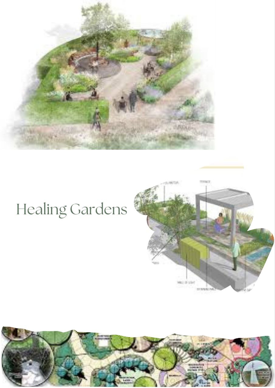 Healing Garden