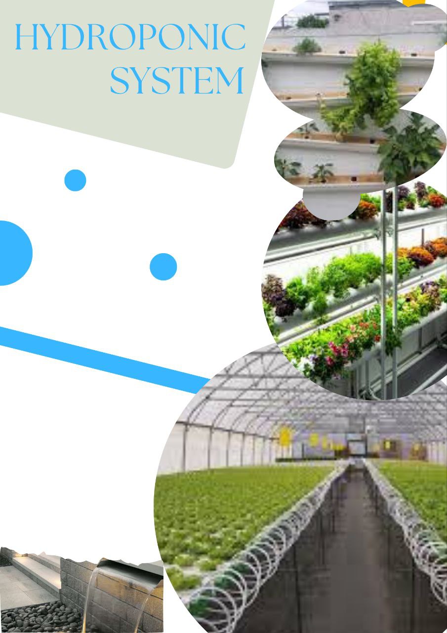 Hydroponic System